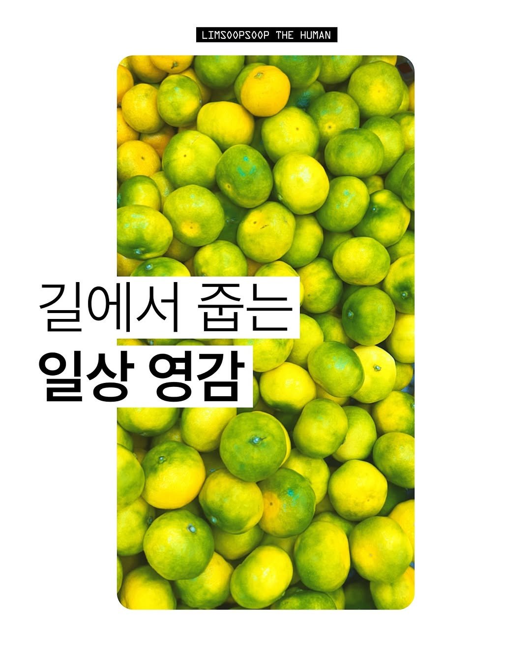 Photo by 마케터 임숲숲 on August 29, 2025. May be an image of pomelo, poster and text that says 'LIMSOOPSOOP LIMSOOPSOOPTHEHUMAN THE HUMAN 길에서 줍는 일상 영감'.