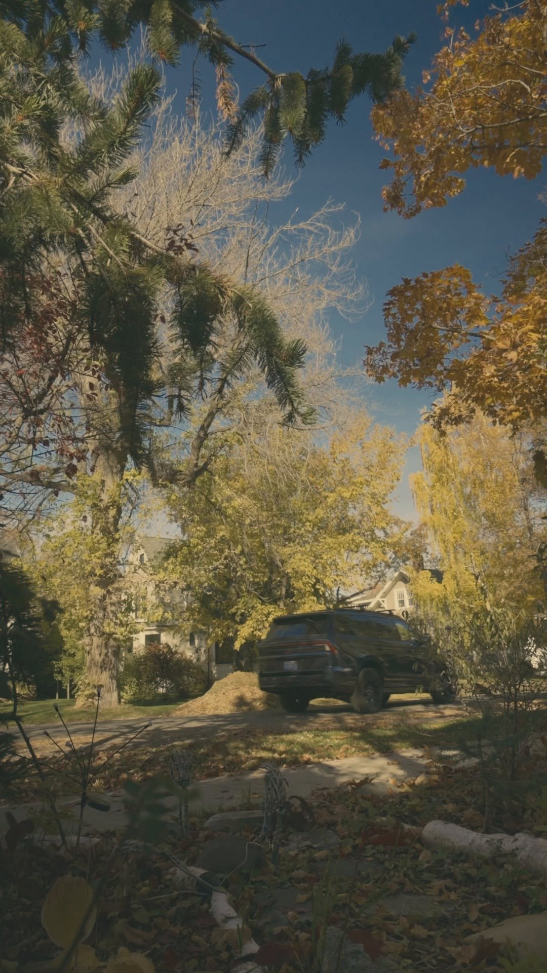 lincoln 게시물 이미지: Life is sweeter with Lincoln Access...