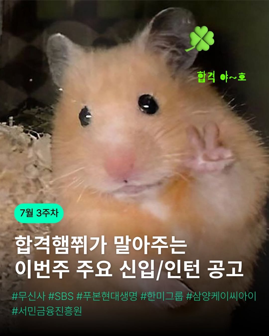 linkareer 게시물 이미지: 🫢7월 3주차 인턴/신입 채용 list 🫢
#무신사 #SAS A&T #푸본현대생명...