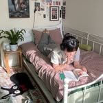 everxnest 프로필 사진