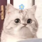 mad4maddie__ 프로필 사진