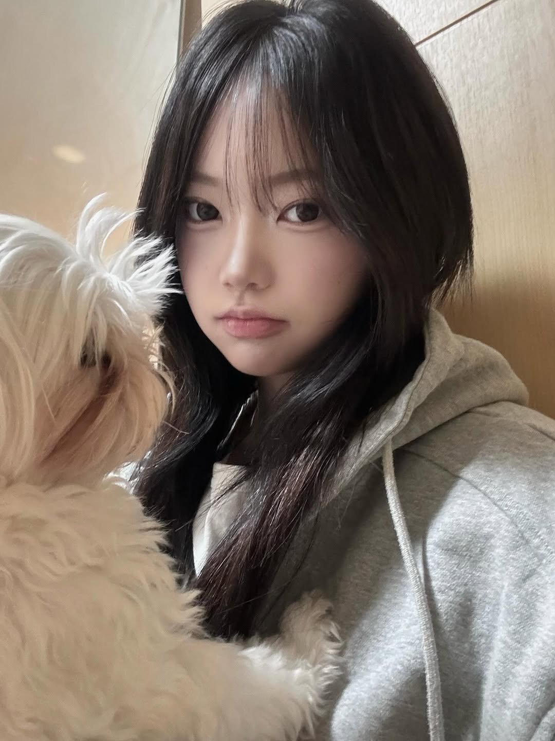 Photo by 박가은 on August 13, 2025. May be an image of 1 person, hair, Maltese and text.