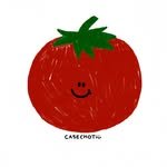casechoti 프로필 사진