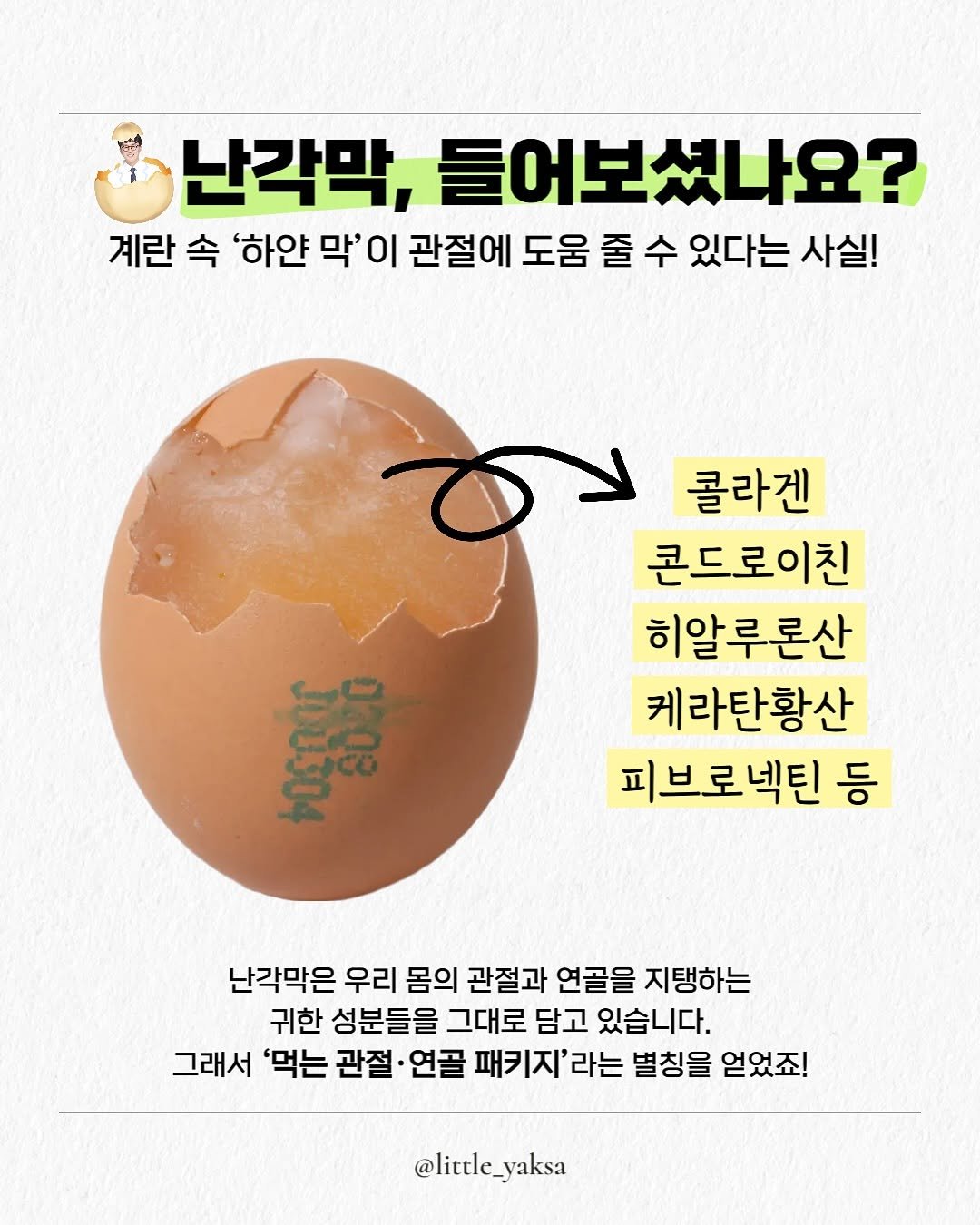 Photo by 리틀약사 on August 18, 2025. May be an image of egg and text that says '난각막, 들어보셨나요? 계란 속 '하얀 막'이 막' 이 관절에 도움 줄 수 있다는 사실! 콜라겐 콘드로이친 히알루론산 케라탄황산 피브로넥틴 등 ស្ត 난각막은 우리 몸의 관절과 연골을 지탱하는 귀한 성분들을 그대로 담고 있습니다. 그래서 '먹는 관절 연골 패키지' 라는 별칭을 얻었죠! @litele_yaksa'.