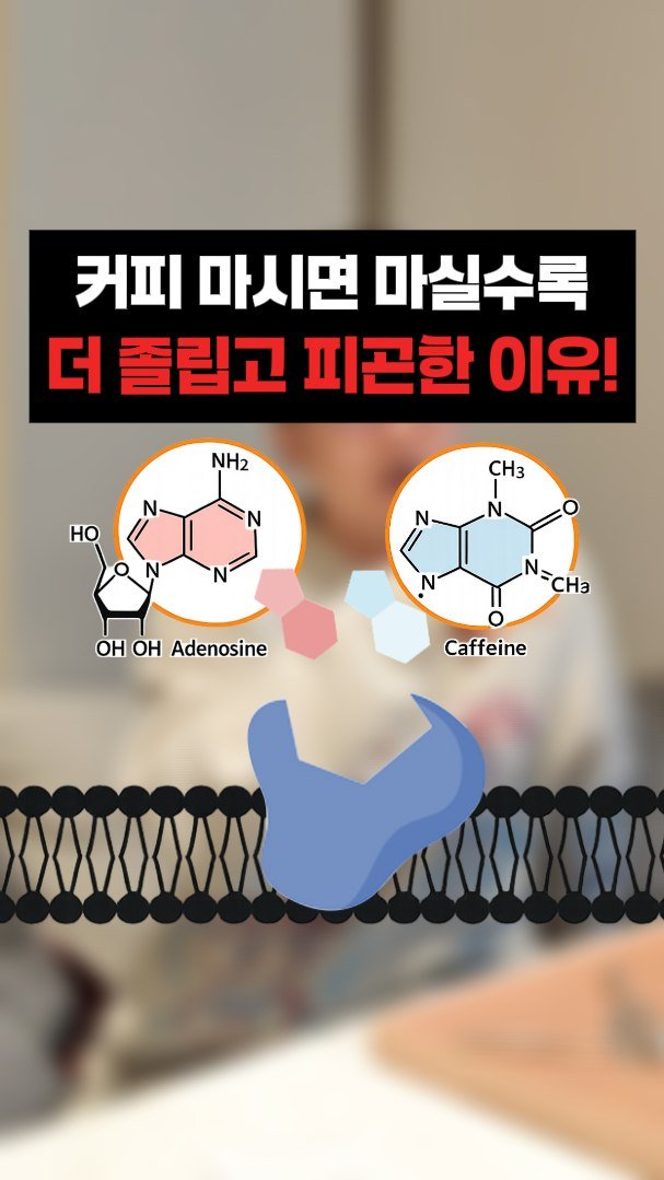 little_yaksa 게시물 이미지: 카페인이 좋지 않은 이유는 단순합니다.
뇌를 쉬게 하는 시스템을 속이기...