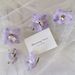 bloominganne 프로필 사진