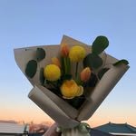 flo_cheovang 프로필 사진