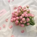 deborah_flower_ 프로필 사진