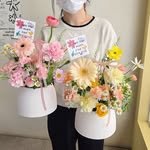 paul.n.daisy 프로필 사진