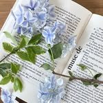 flower__hyejeong 프로필 사진