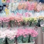 bloomingbouquet161 프로필 사진