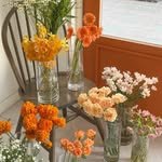 eun_eun_flower 프로필 사진