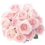 t_and_c_flower 프로필 사진