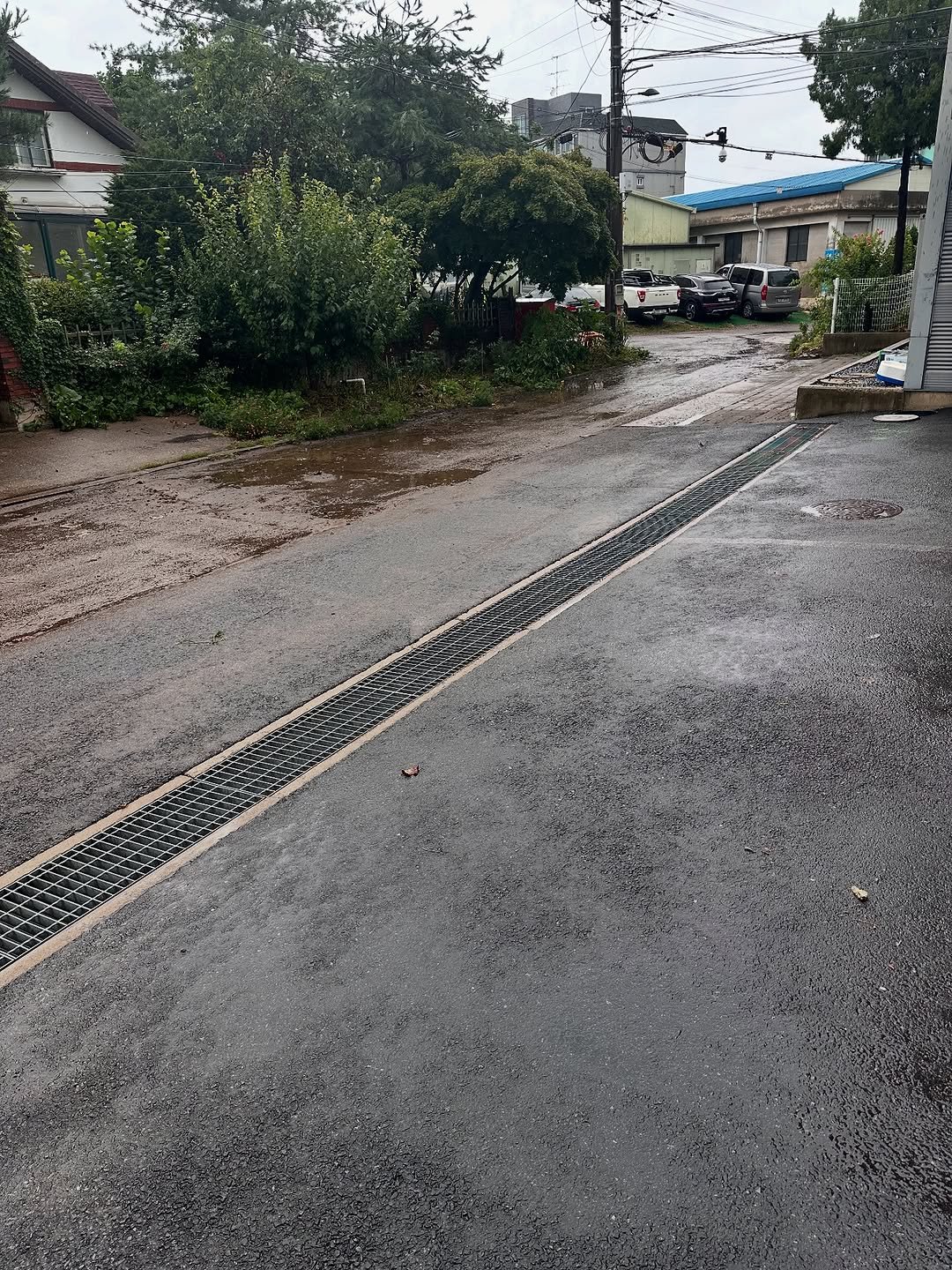 Photo by (주)리틀달링✨ 꽃자재, 패키지디자인 on August 13, 2025. May be an image of curb and text.