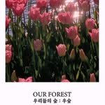 our_forest_usup 프로필 사진