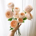 douxdouxflower 프로필 사진