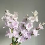 breeze_nine 프로필 사진