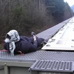 echoesinruin 프로필 사진