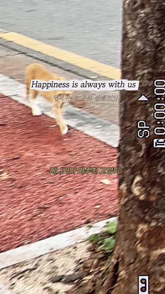 livenow_n_ 게시물 이미지: “행복은 성취가 아니라 순간이야. 
그걸 알아차리는 게 인생의 기술이지.”
— 영화...