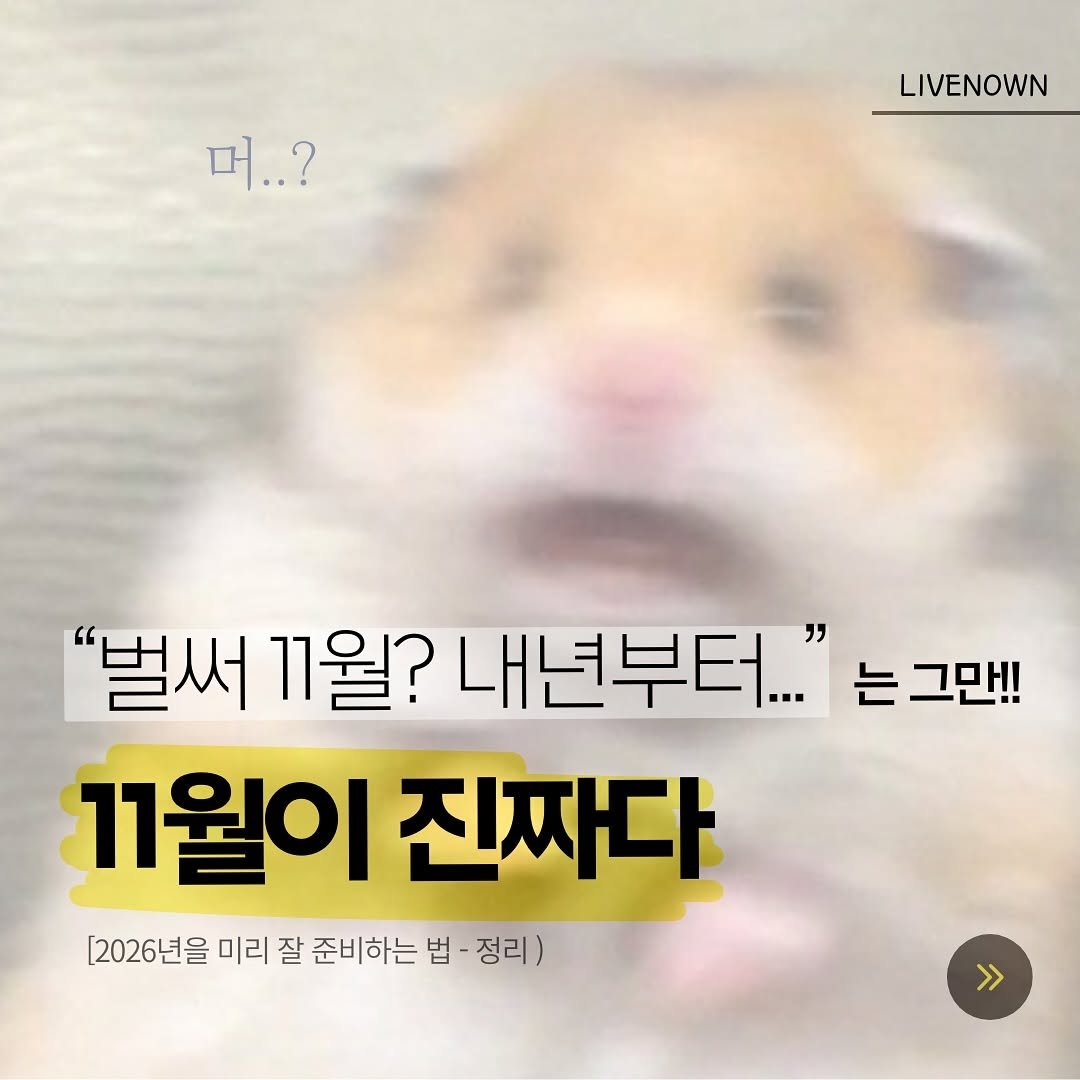 Photo by 리브나운 on November 09, 2025. May be an image of text that says '머..? LIVENOWN "벌써 11월? 내년부터..." 는 그만!! 1월이진짜다 11월이 진짜다 [2026년을 미리 잘 준비하는 법 정리) >>'.