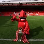 mightyred_lfc 프로필 사진