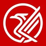 thisisanfield 프로필 사진