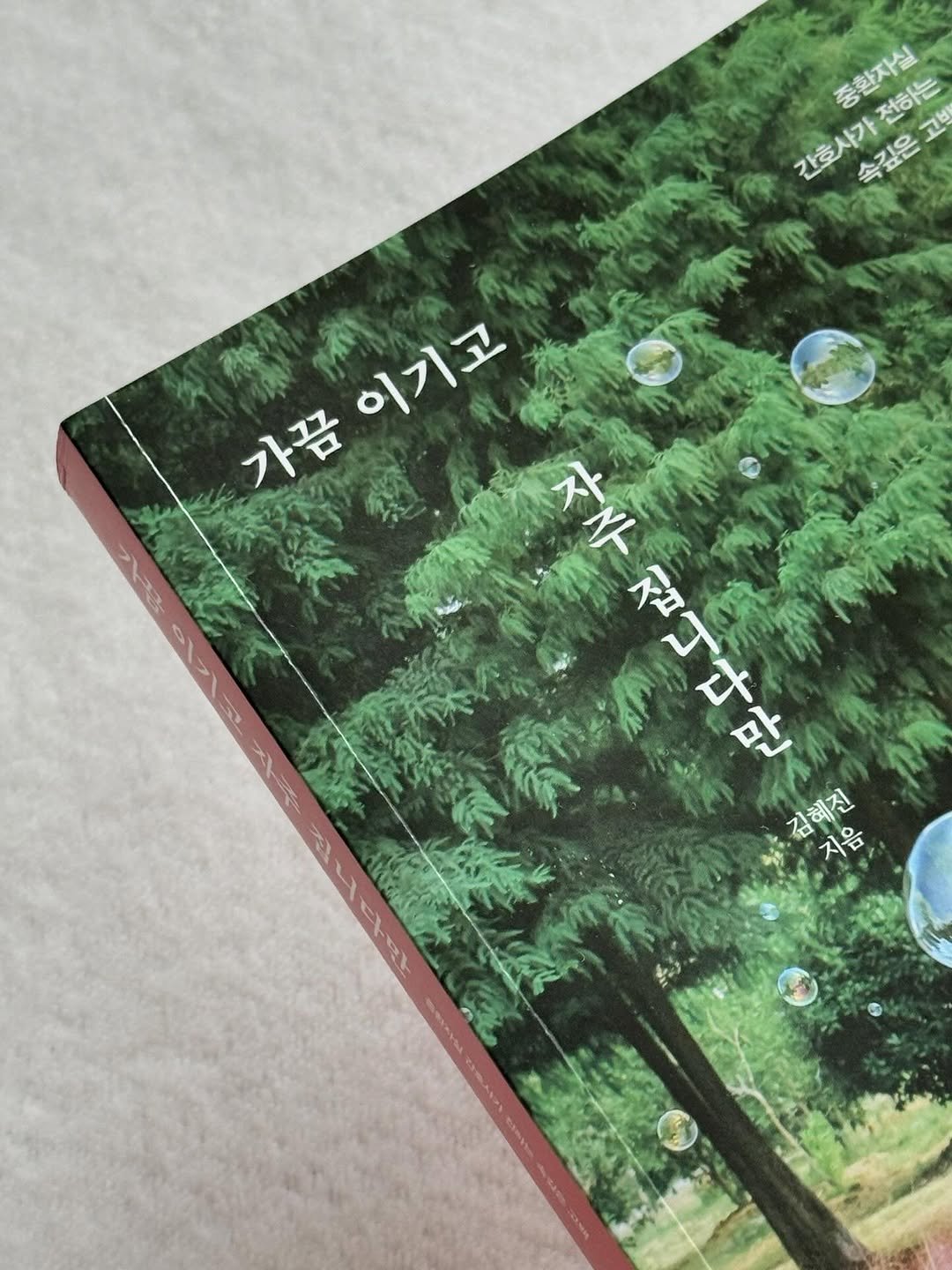 Photo by 느릿느릿책방📖ㅣ북스타그램 책스타그램 on August 05, 2025. May be an image of book, magazine and text that says '간호사가전하는 중환자식 증환자실 전하는 食物 속길은고발 고박 간호사가 속깊은 0R 이기고 이기고 가끔 자주 집니다만 个 김혜진 지음'.