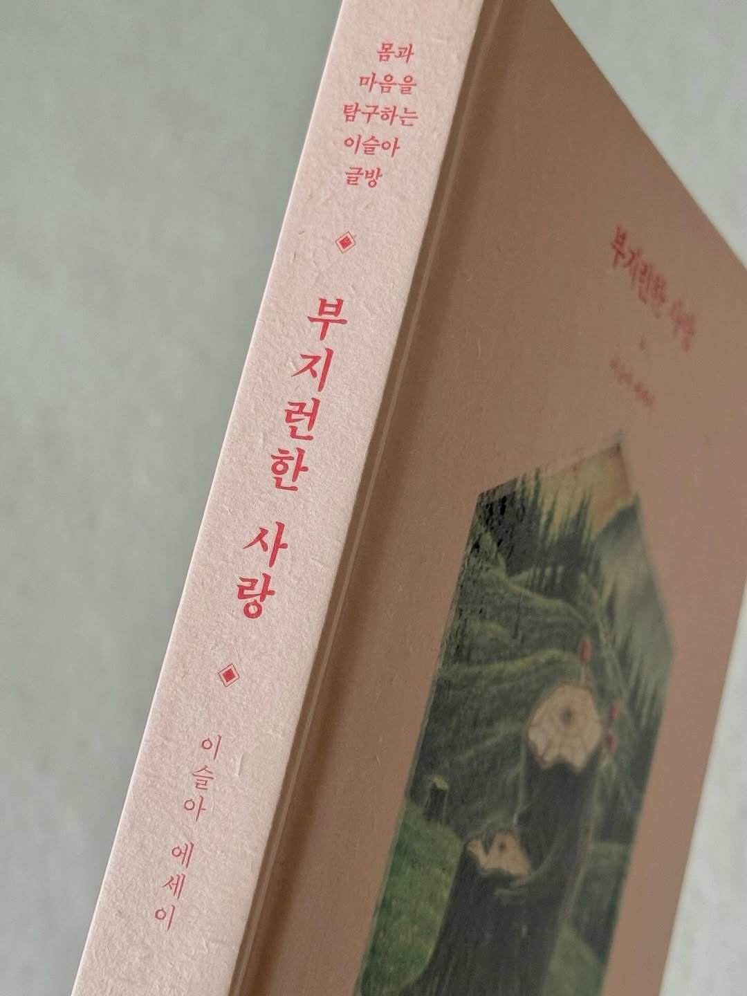 Photo by 느릿느릿책방📖ㅣ북스타그램 책스타그램 on August 10, 2025. May be an image of diary, book and text that says '몸과 마음을 탐구하는 이슬아 글방 之 수물 부 지 런 한 랑 斗 사 랑 이/ 爸 아 해에 이 에 세'.
