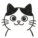 ny.ang_mbti 프로필 사진
