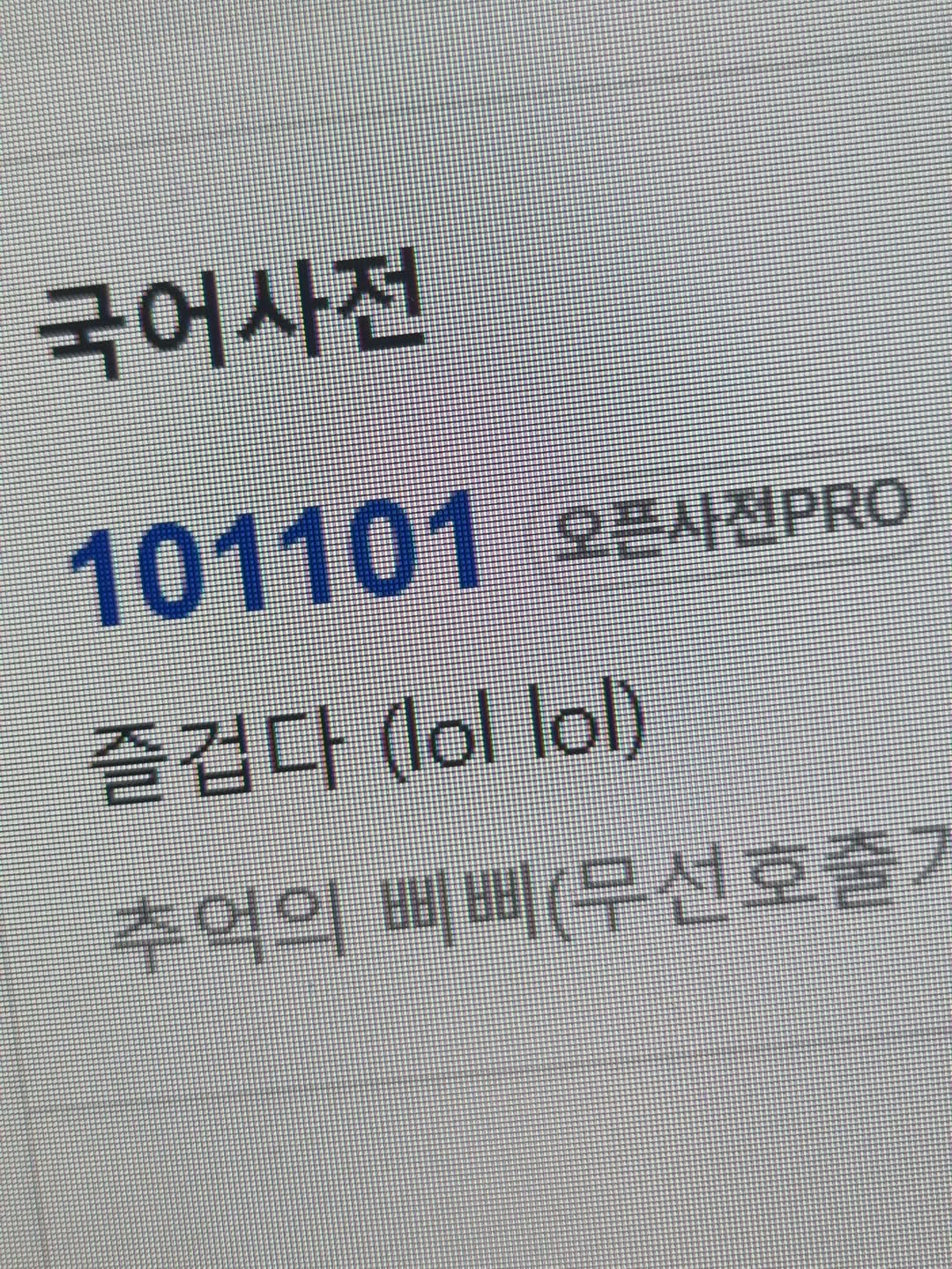 Photo by 임지운 on September 26, 2025. May be an image of one or more people, bangs and text that says '국어차현 국어사전 101101 D판시진PO 즐겁 (lol lol) ሰግዓጣማር 여의삐삐(무선호출 講 비문선호들 아의'.