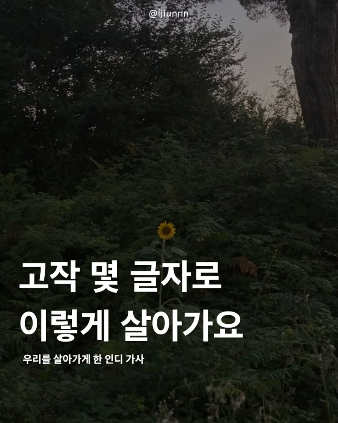 Photo by 임지운 on June 25, 2025. May be an image of outdoors and text that says '@ljiunnn 고작 고작몇글자로 哭 글자로 이렇게 살아가요 우리를 살아가게 한 인디 가사'.