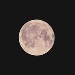 givemylovepls 프로필 사진