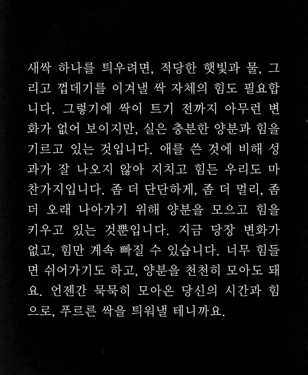 Photo by 임지운 on September 25, 2025. May be an image of crossword puzzle and text that says '새싹 하나를 티우려면, 적당한 햇빛과 물, 물,그 그 리고 껍데기를 이겨낼 싹 자체의 힘도 필요합 니다. 그렇기에 싹이 트기 전까지 아무런 변 화가 없어 보이지만, 실은 충분한 양분과 힘을 기르고 있는 것입니다. 애를 쓴 것에 비해 성 과가 잘 나오지 않아 지치고 힘든 우리도 마 찬가지입니다. 좀더 단단하게, 더 멀리 좀 더 오래 나아가기 위해 양분을 모으고 힘을 키우고 있는 것뿐입니다. 지금 당장 변화가 없고 힘만 계속 빠질 수 있습니다. 너무 힘들 면 쉬어가기도 하고, 양분을 천천히 모아도 돼 요. 언젠간 묵묵히 모아온 당신의 시간과 힘 으로, 푸르른 싹을 틱워낼 테니까요.'.