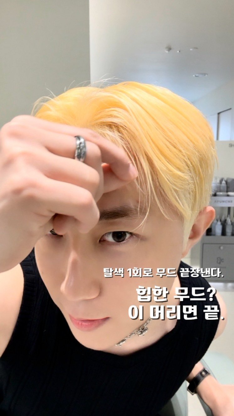 lkmforetgarden_jini 게시물 이미지: 🎥 힙한 무드를 가지고 싶다구요?
그럼 시작은 탈색 1회부터.

오늘의...