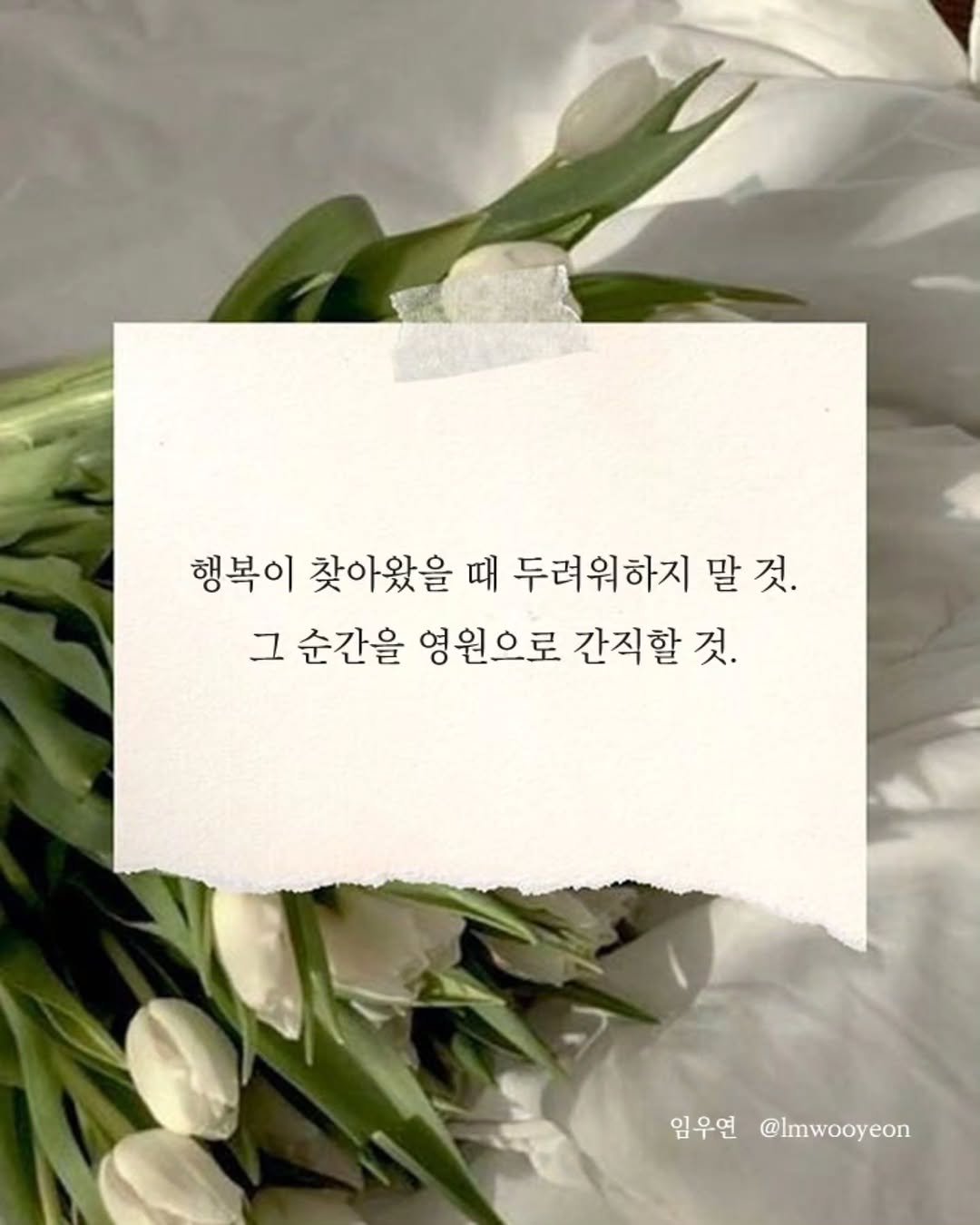 Photo by 임우연 on December 06, 2025. May be an image of baby's-breath, white lily and text that says '행복이 찾아왔을 때 두려워하지 말 말것. 것. 그 순간을 영원으로 간직할 것. 임우연 @Imwooyeon'.