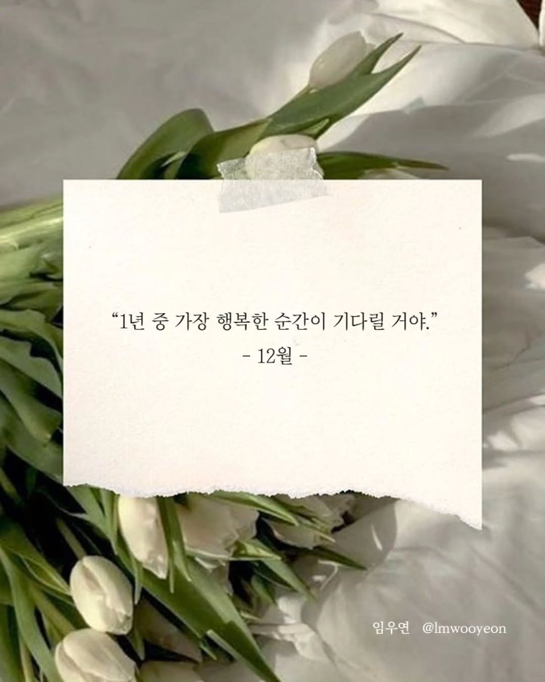 Photo by 임우연 on December 01, 2025. May be an image of baby's-breath, white lily and text that says '"1년 중 가장 행복한 순간이 기다릴 거야." 거야." -12월- 임우연 @Imwooyeon'.