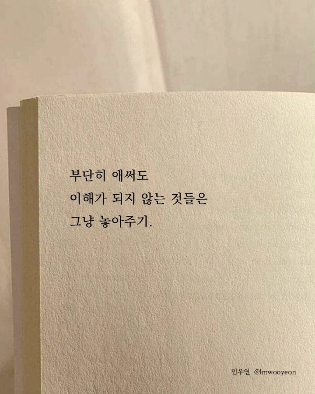 Photo by 임우연 on December 11, 2025. May be an image of book and text that says '부단히 애써도 이해가 되지 않는 것들은 그냥 놓아주기. 임우연 @Imwooyeon'.
