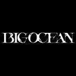 big_ocean.official 프로필 사진