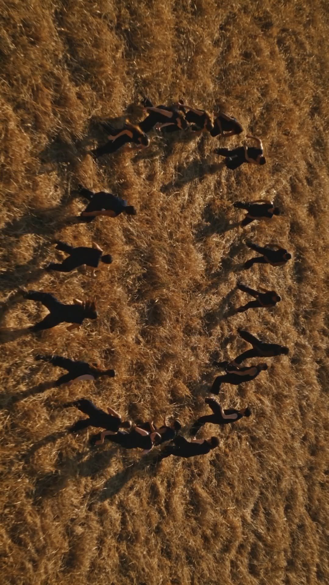 loccitanekorea 게시물 이미지: ⠀ 
And the feeling spreads…...