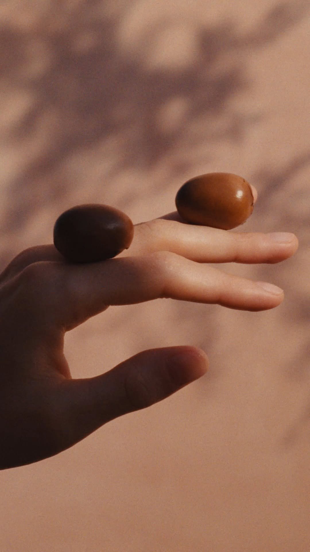 loccitanekorea 게시물 이미지: ⠀ 
시간이 만든 진짜 가치.
시어 나무는 약 20년을 기다린 끝에 열매를 맺고,...