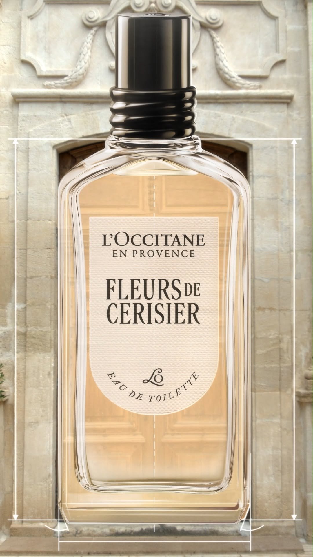 loccitanekorea 게시물 이미지: ⠀ 
프로방스의 뿌리에서 자라, 오늘의 록시땅으로 피어나다🌿