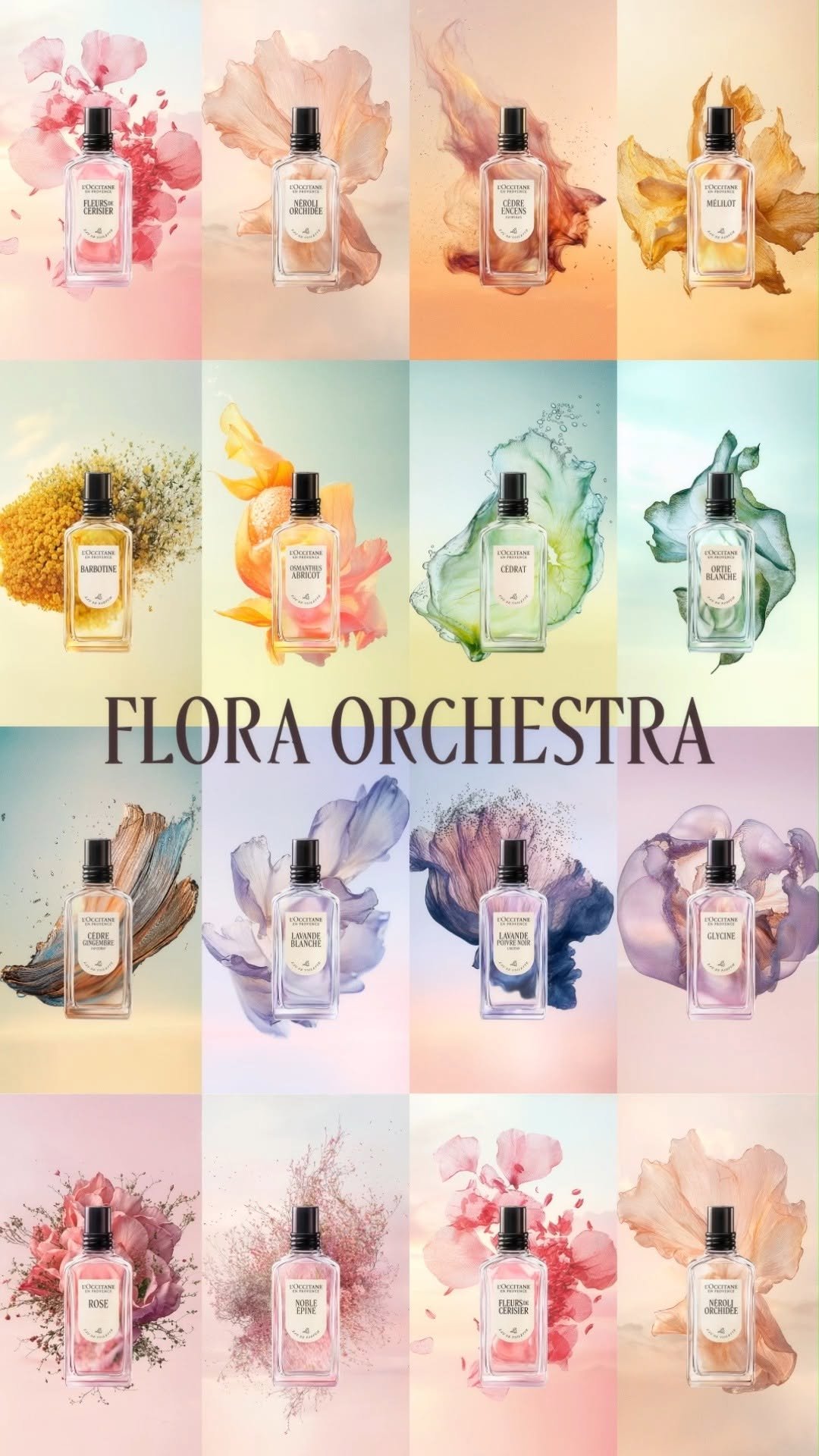 loccitanekorea 게시물 이미지: ⠀ 
플로라 오케스트라, 프로방스의 이야기를 새롭게 담아내다.
오뜨 프로방스의...