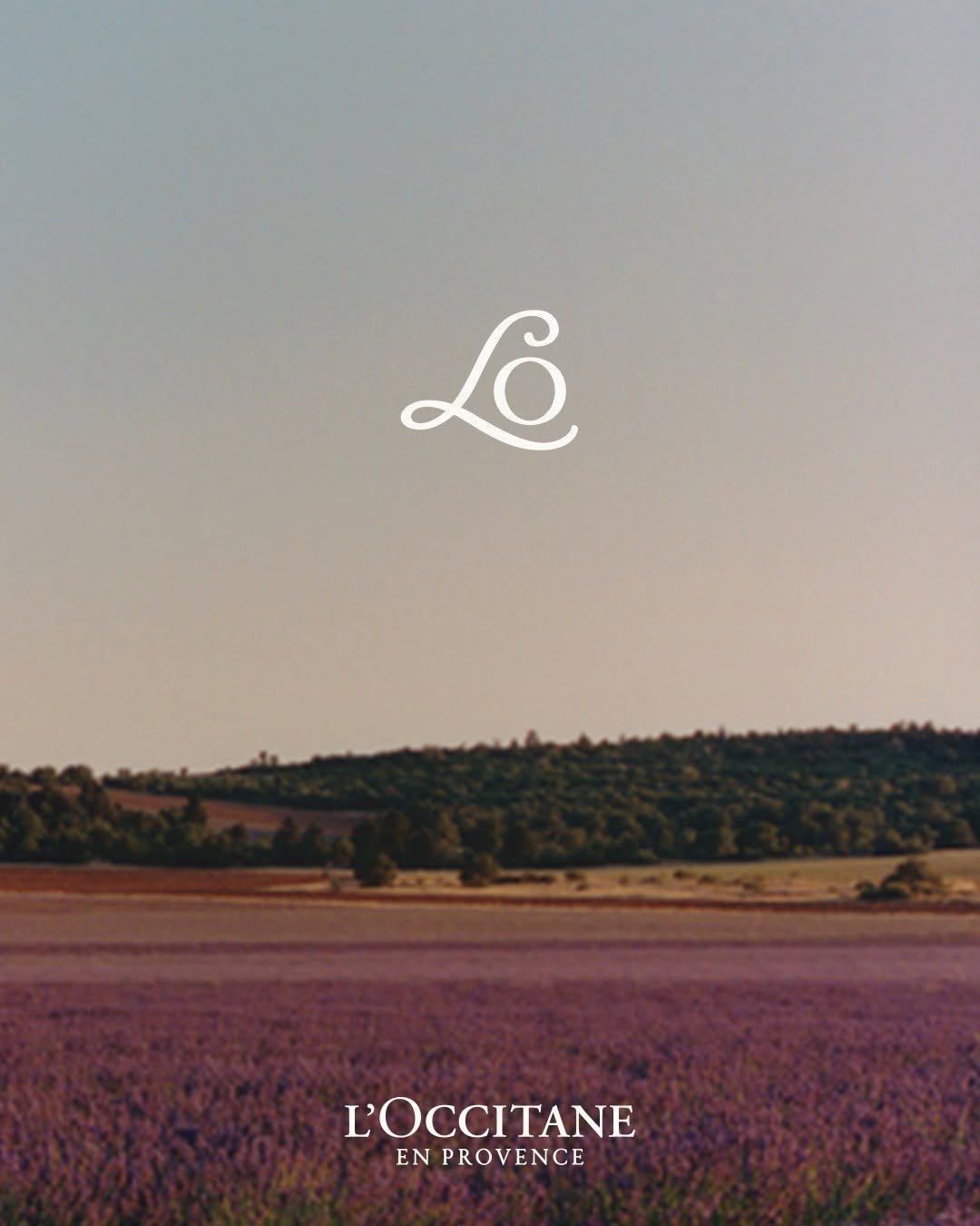 loccitanekorea 게시물 이미지: ⠀ 
록시땅 코리아 인스타그램 계정이 글로벌 계정으로 통합됩니다.

록시땅...