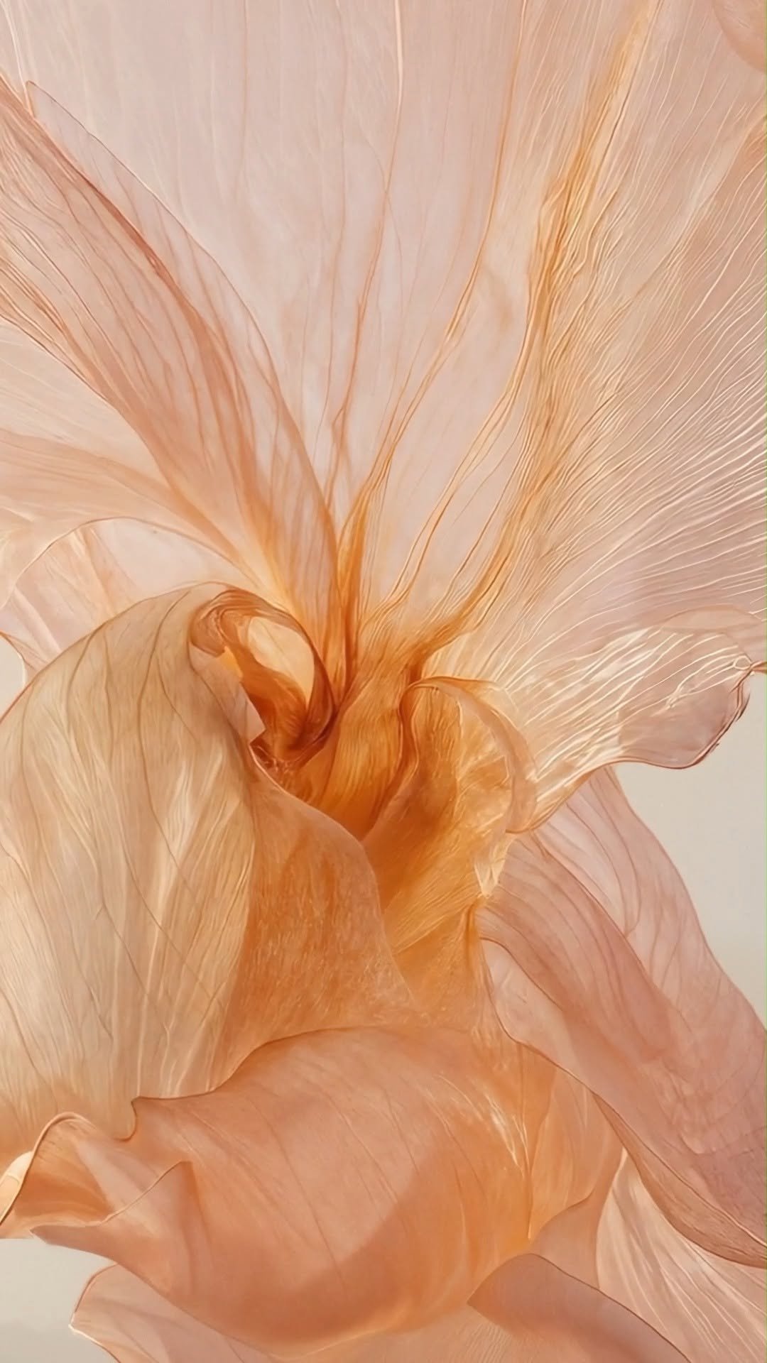 loccitanekorea 게시물 이미지: ⠀ 
향기로 펼쳐지는 플로라 오케스트라, 그 하모니의 시작
아티스트...