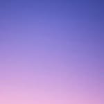 colorfly_kr 프로필 사진
