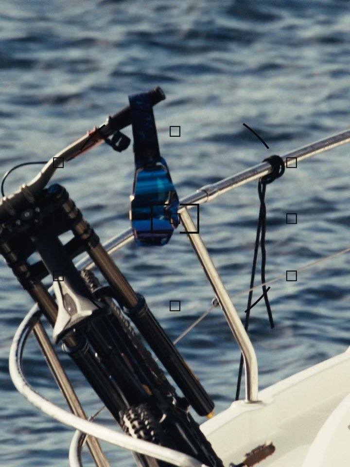 loicbruni29 게시물 이미지: Celebrating the comeback of racing with a new...