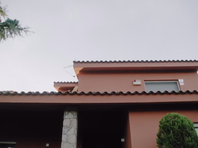 loicbruni29 게시물 이미지: Time to look ahead and start getting back into...