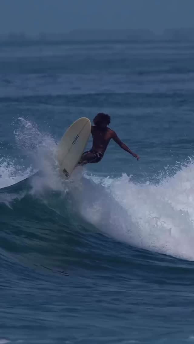 longboard.surfer 게시물 이미지: Longboarder: @kani_tsunami. Films:...