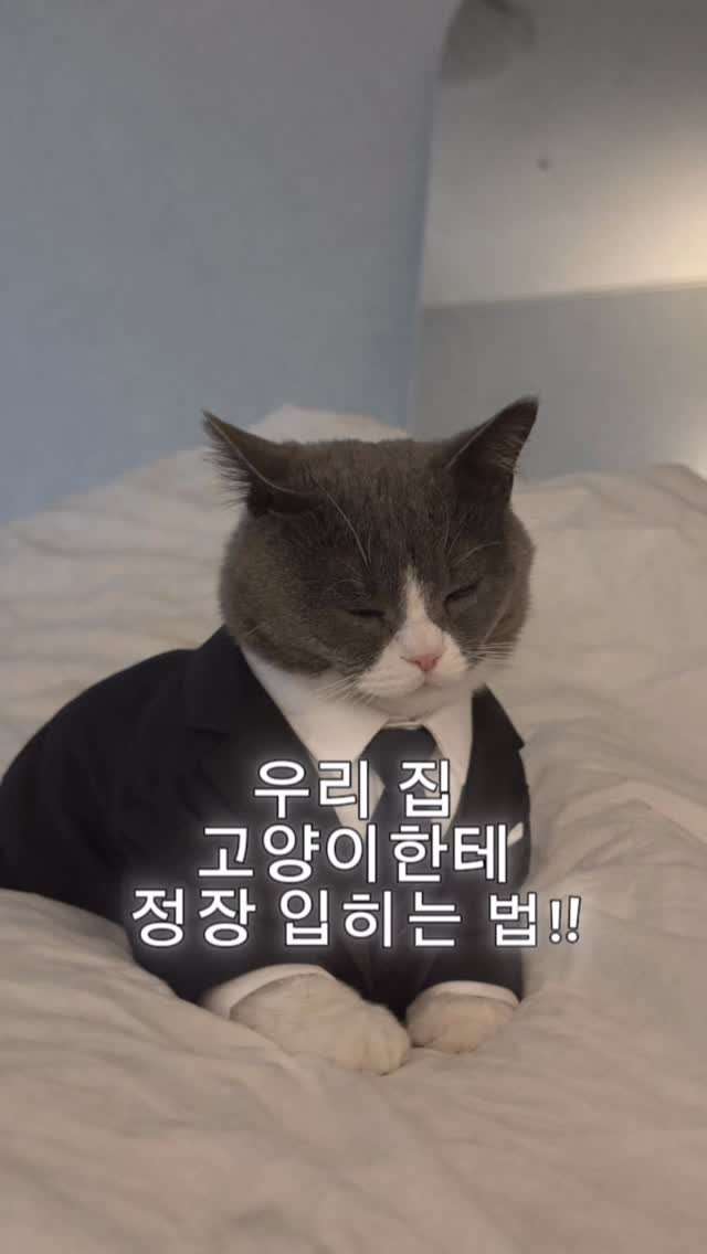 looooooooooooouie 게시물 이미지: 루이 결혼했어요