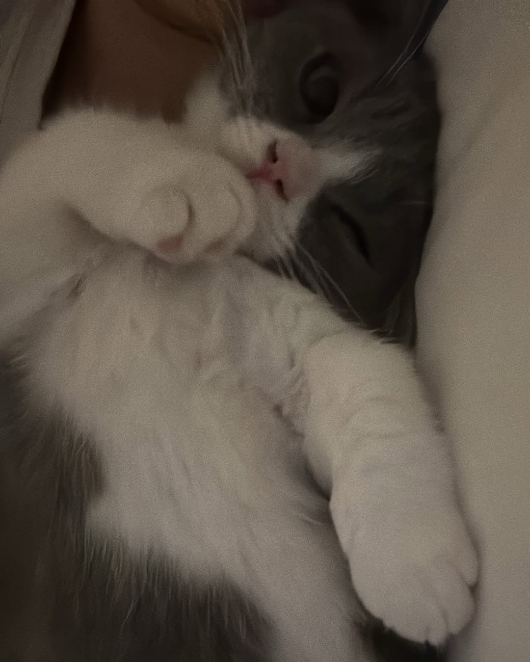 Photo by 루이 on December 23, 2024.